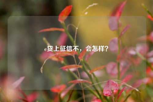 e贷上征信不，会怎样？