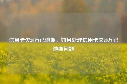 信用卡欠20万已逾期，如何处理信用卡欠20万已逾期问题