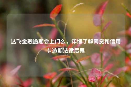 达飞金融逾期会上门么，详细了解网贷和信用卡逾期法律后果