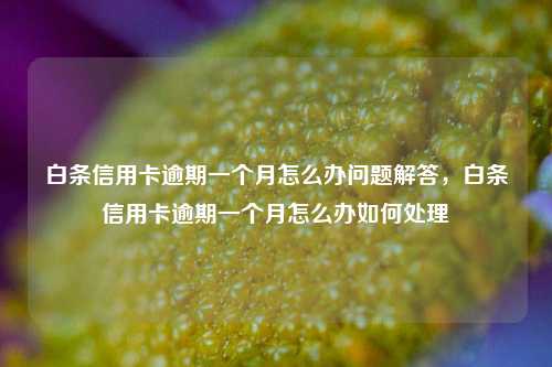 白条信用卡逾期一个月怎么办问题解答，白条信用卡逾期一个月怎么办如何处理