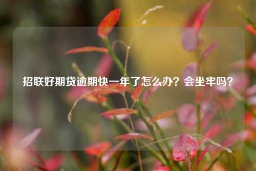 招联好期贷逾期快一年了怎么办？会坐牢吗？