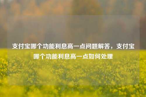 支付宝哪个功能利息高一点问题解答，支付宝哪个功能利息高一点如何处理