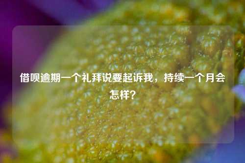 借呗逾期一个礼拜说要起诉我，持续一个月会怎样？