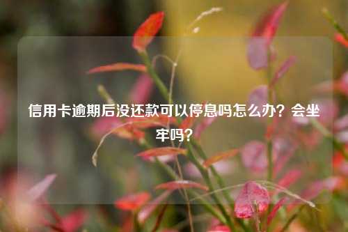 信用卡逾期后没还款可以停息吗怎么办？会坐牢吗？