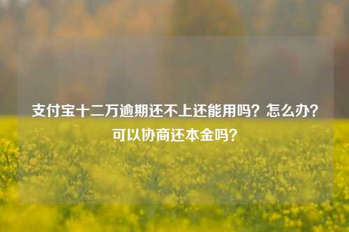 支付宝十二万逾期还不上还能用吗？怎么办？可以协商还本金吗？