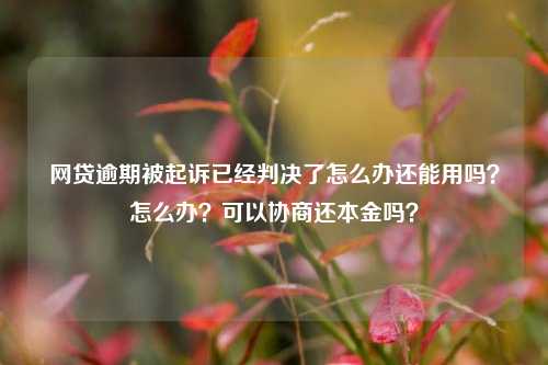 网贷逾期被起诉已经判决了怎么办还能用吗？怎么办？可以协商还本金吗？