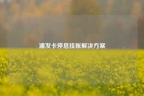 浦发卡停息挂账解决方案