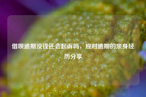 借呗逾期没钱还会起诉吗，应对逾期的亲身经历分享