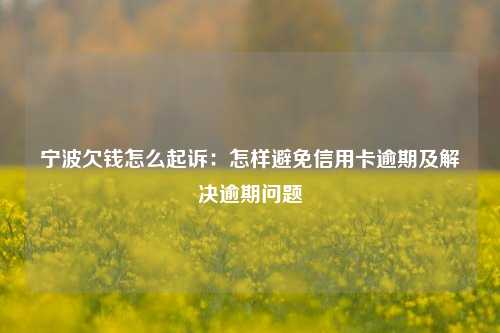 宁波欠钱怎么起诉：怎样避免信用卡逾期及解决逾期问题