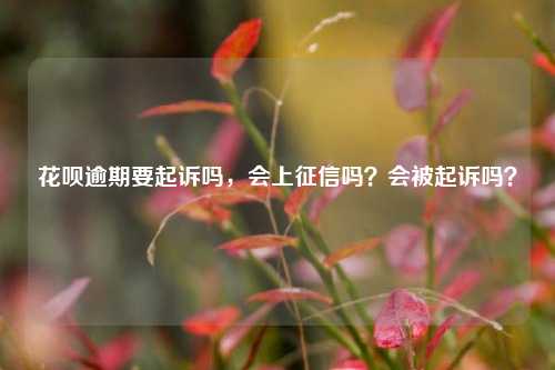 花呗逾期要起诉吗，会上征信吗？会被起诉吗？