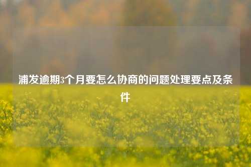 浦发逾期3个月要怎么协商的问题处理要点及条件