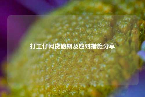 打工仔网贷逾期及应对措施分享