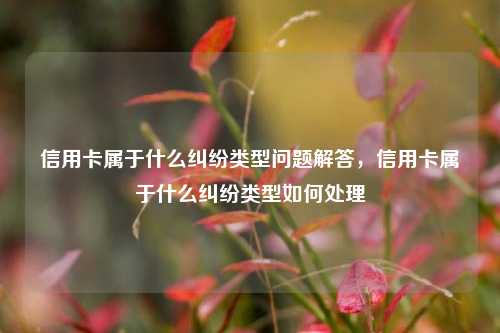 信用卡属于什么纠纷类型问题解答，信用卡属于什么纠纷类型如何处理