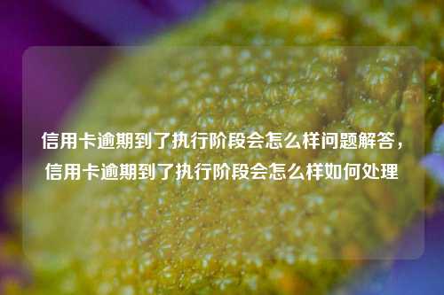 信用卡逾期到了执行阶段会怎么样问题解答，信用卡逾期到了执行阶段会怎么样如何处理