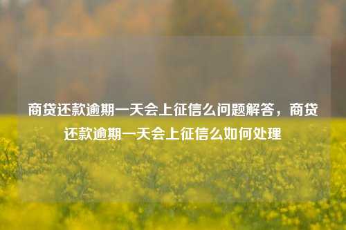 商贷还款逾期一天会上征信么问题解答，商贷还款逾期一天会上征信么如何处理