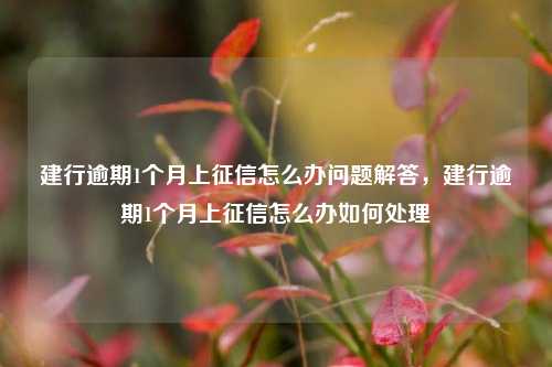 建行逾期1个月上征信怎么办问题解答，建行逾期1个月上征信怎么办如何处理