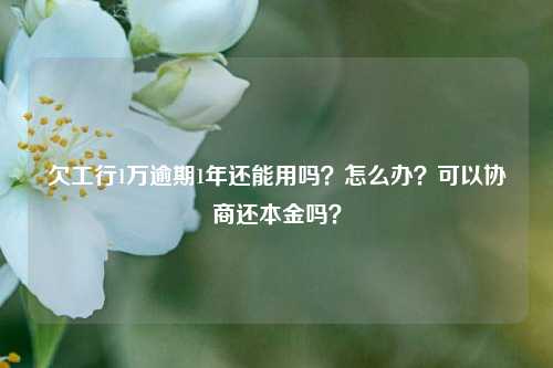 欠工行1万逾期1年还能用吗？怎么办？可以协商还本金吗？