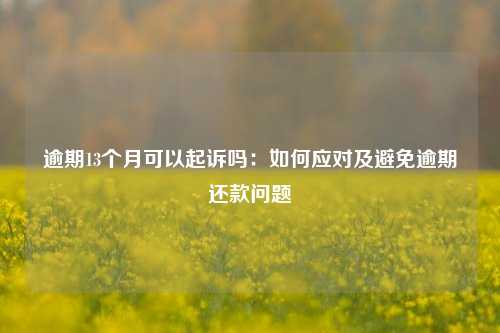 逾期13个月可以起诉吗：如何应对及避免逾期还款问题