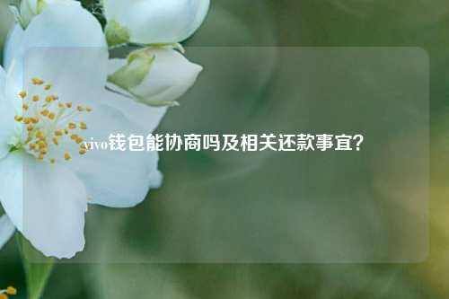 vivo钱包能协商吗及相关还款事宜？