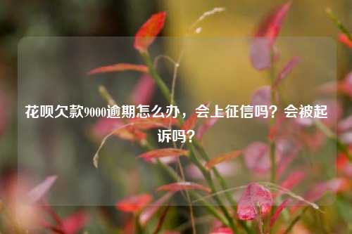 花呗欠款9000逾期怎么办，会上征信吗？会被起诉吗？