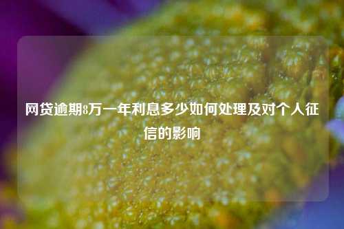 网贷逾期8万一年利息多少如何处理及对个人征信的影响