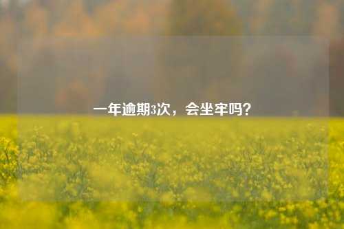 一年逾期3次，会坐牢吗？