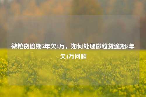 微粒贷逾期5年欠4万，如何处理微粒贷逾期5年欠4万问题