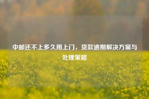 中邮还不上多久用上门，贷款逾期解决方案与处理策略