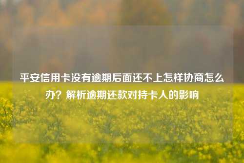 平安信用卡没有逾期后面还不上怎样协商怎么办？解析逾期还款对持卡人的影响