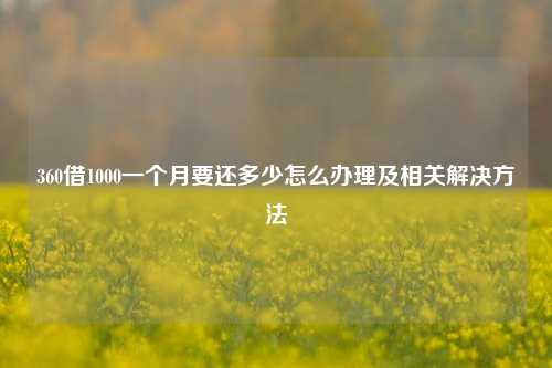 360借1000一个月要还多少怎么办理及相关解决方法