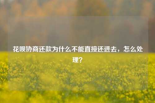 花呗协商还款为什么不能直接还进去，怎么处理？