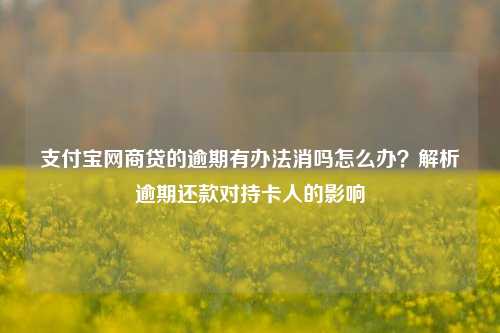 支付宝网商贷的逾期有办法消吗怎么办？解析逾期还款对持卡人的影响