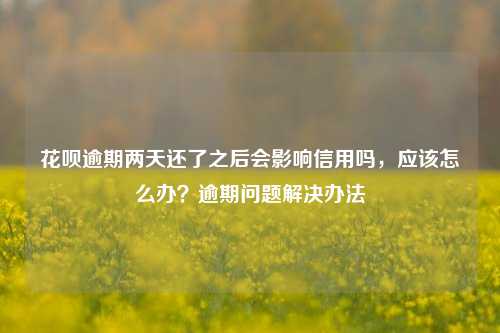 花呗逾期两天还了之后会影响信用吗，应该怎么办？逾期问题解决办法