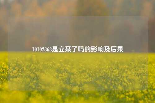 10102368是立案了吗的影响及后果