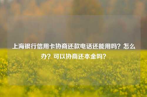 上海银行信用卡协商还款电话还能用吗？怎么办？可以协商还本金吗？