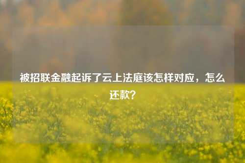 被招联金融起诉了云上法庭该怎样对应，怎么还款？