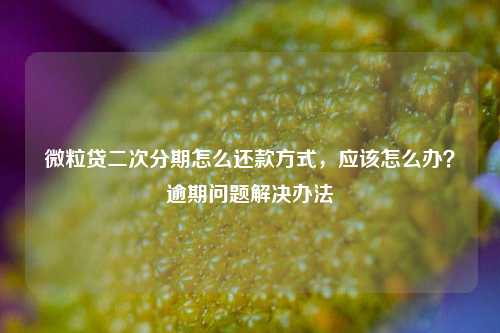 微粒贷二次分期怎么还款方式，应该怎么办？逾期问题解决办法