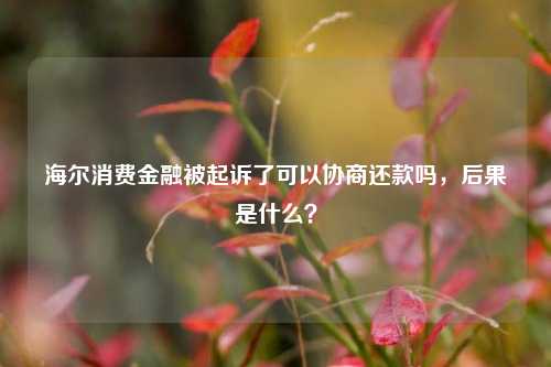 海尔消费金融被起诉了可以协商还款吗，后果是什么？