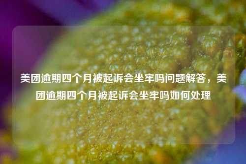 美团逾期四个月被起诉会坐牢吗问题解答，美团逾期四个月被起诉会坐牢吗如何处理