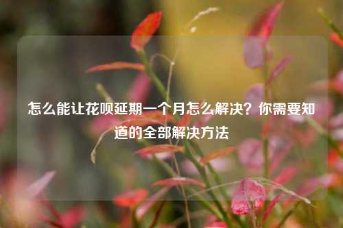 怎么能让花呗延期一个月怎么解决？你需要知道的全部解决方法