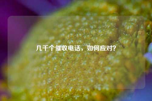 几千个催收电话，如何应对？