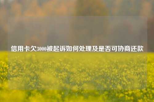 信用卡欠3000被起诉如何处理及是否可协商还款