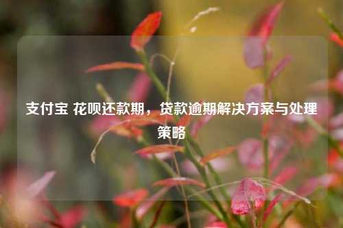 支付宝 花呗还款期，贷款逾期解决方案与处理策略