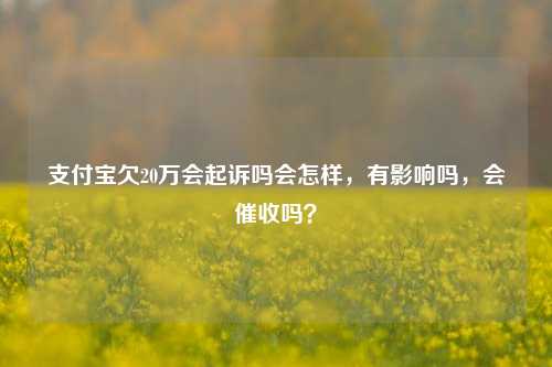 支付宝欠20万会起诉吗会怎样，有影响吗，会催收吗？