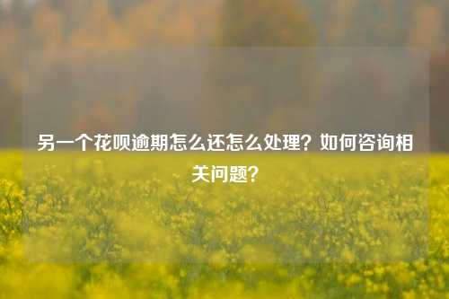 另一个花呗逾期怎么还怎么处理？如何咨询相关问题？