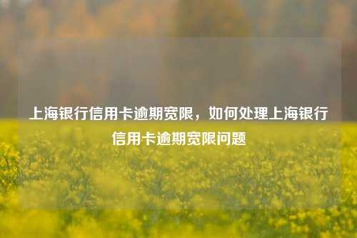 上海银行信用卡逾期宽限，如何处理上海银行信用卡逾期宽限问题