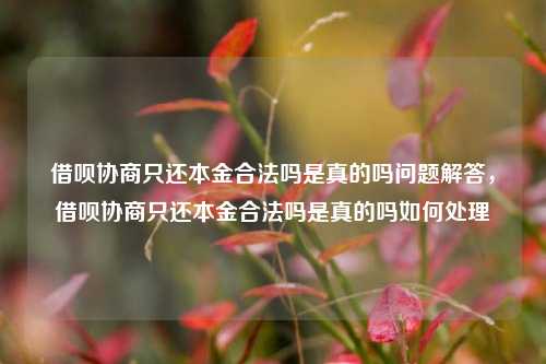 借呗协商只还本金合法吗是真的吗问题解答，借呗协商只还本金合法吗是真的吗如何处理