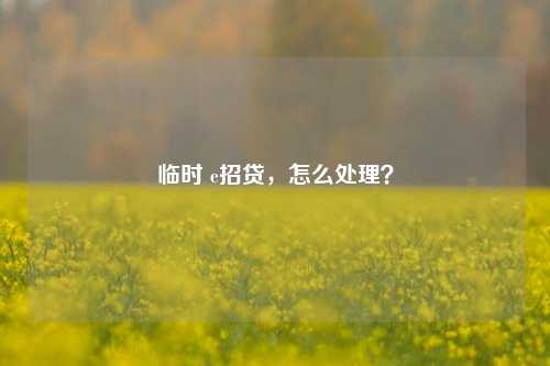 临时 e招贷，怎么处理？