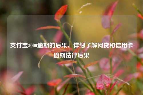 支付宝3000逾期的后果，详细了解网贷和信用卡逾期法律后果