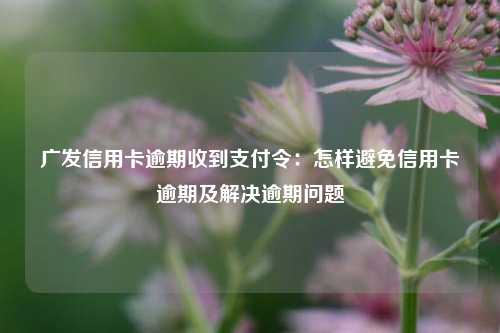 广发信用卡逾期收到支付令：怎样避免信用卡逾期及解决逾期问题